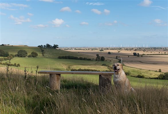 A Farm Trail Walk